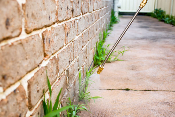 Lawn Pest Control in Aurora, OH